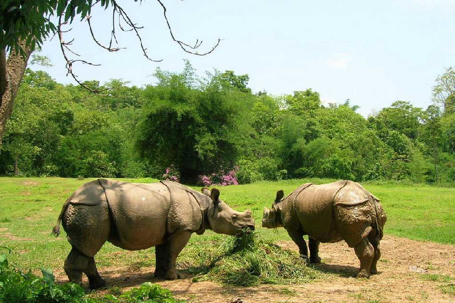 best places to stay in Guwahati, Assam